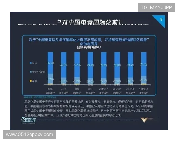 聚焦电竞职业联赛发展探讨产业生态升级与青年文化融合路径