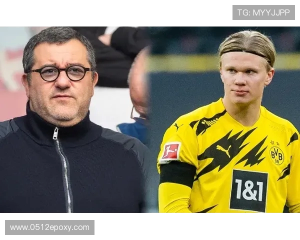 埃尔林·哈兰德：从挪威天才到欧洲足坛新巨星的崛起之路