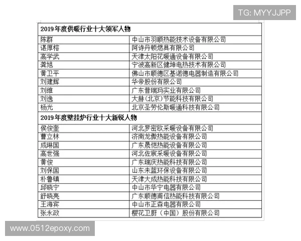 北京羽毛球队在联合会杯中的表现分析与状态评估